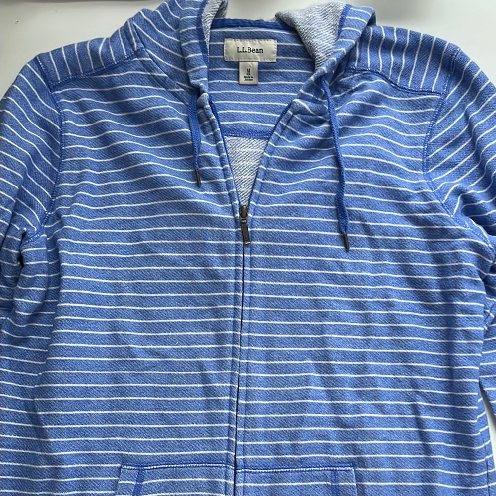 L.L. Bean Blue Striped Sweater Medium